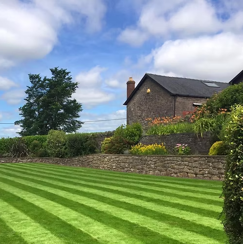 HM2 Lawn Grass Seed Mix for Lush, Low-Maintenance Front Lawns - roesports