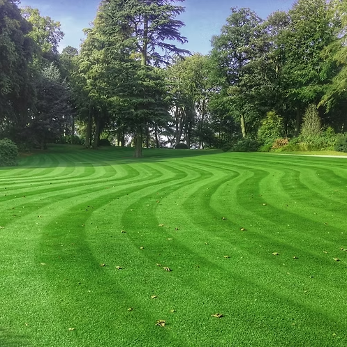 HM.3 Hard Wearing Lawn Grass Seed Mix - Coldstart Winter Grass Seed - roesports