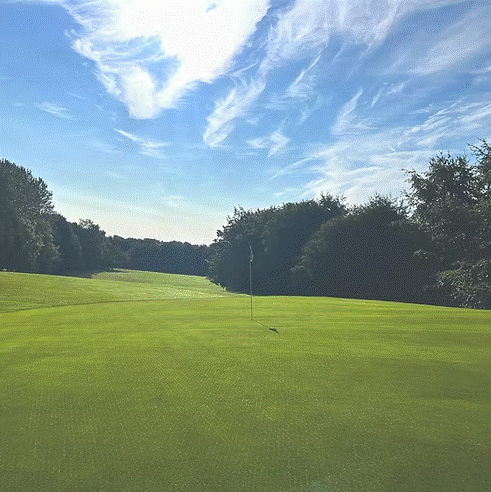 HPG CSI Turf Grass Seed Mix for Lush Perennial Greens and Creeping Rye - roesports