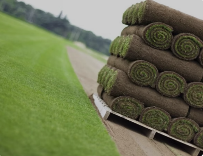 Premier Lawn Turf Bulk Buy Saver - Free Pallet Delivery Available - roesports