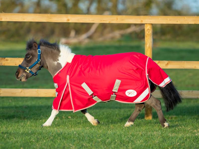 Mini Turnout Rug Red 200g for Ultimate Horse Protection and Comfort - roesports