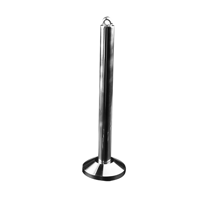 Regular Weight Plate Loading Pin Arm Wrestling - Roesports