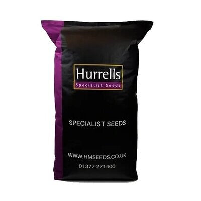 20kg FR CSI Premium Football Rugby Pitch Grass Seed Mix with Creeping Rye Grass - roesports