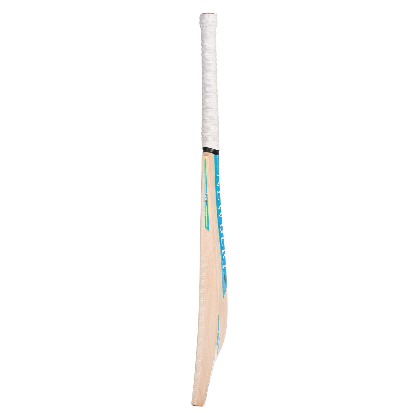 Pulse Kashmir Willow Cricket Bat - Premium Quality Performance - roesports