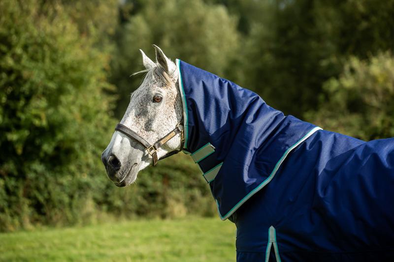 100g Detachable Neck Turnout Rug - Navy for Ultimate Comfort and Protection - roesports