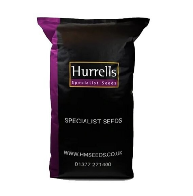 HM Four Seasons Grass Seed Mix - Premium Cold Season Grass Seed for Lush Lawns - roesports