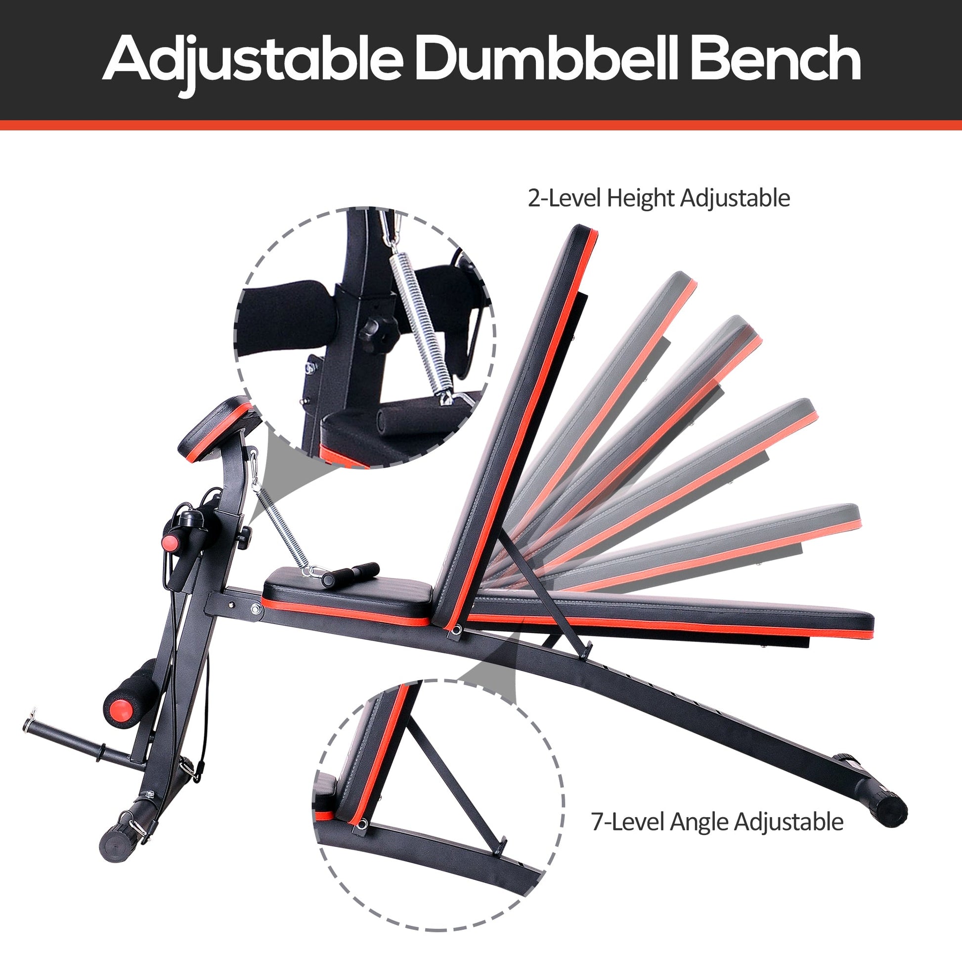 HOMCOM Adjustable Reclined Dumbbell Bench Weight Lifting Set Folding Sit Up Ab Bench Home Training Gym Multiuse Workout Exercise Fitness with 2 x 4kg Dumbbells -