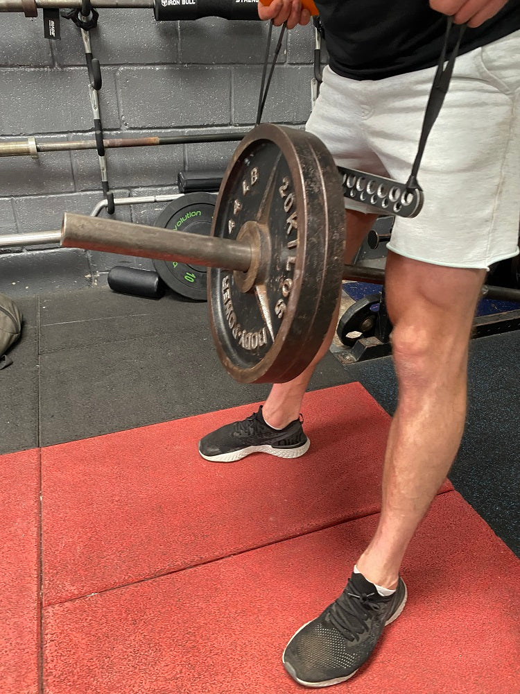 T-Bar Row Landmine Barbell Attachment roesports