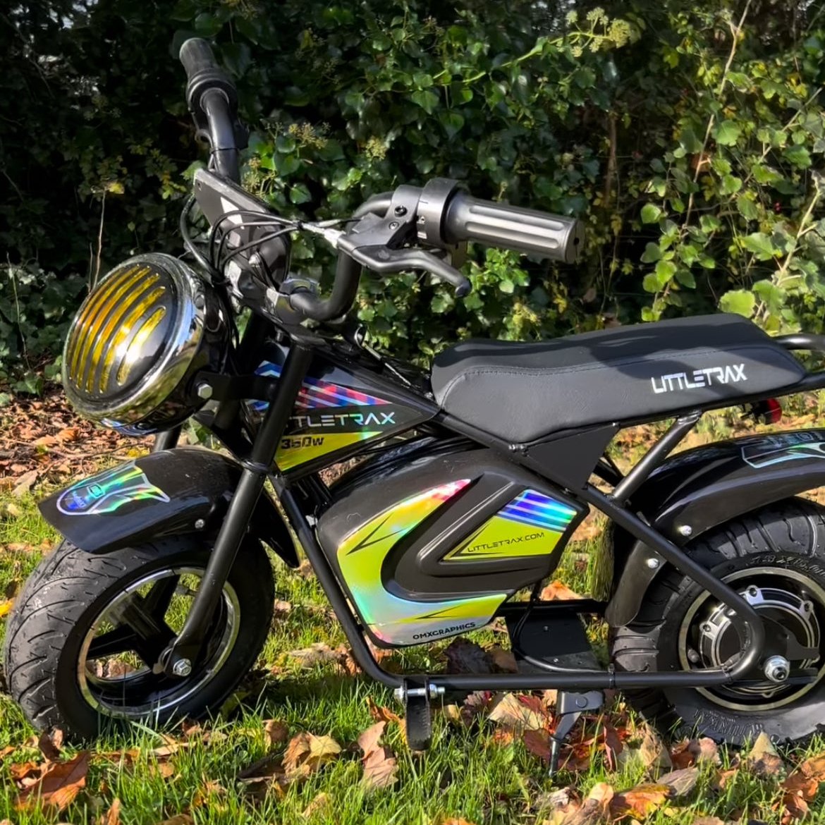 Littletrax 350W Kids Electric Bike for Ages 3 to 12 | Ride-On Monkey Bike - roesports