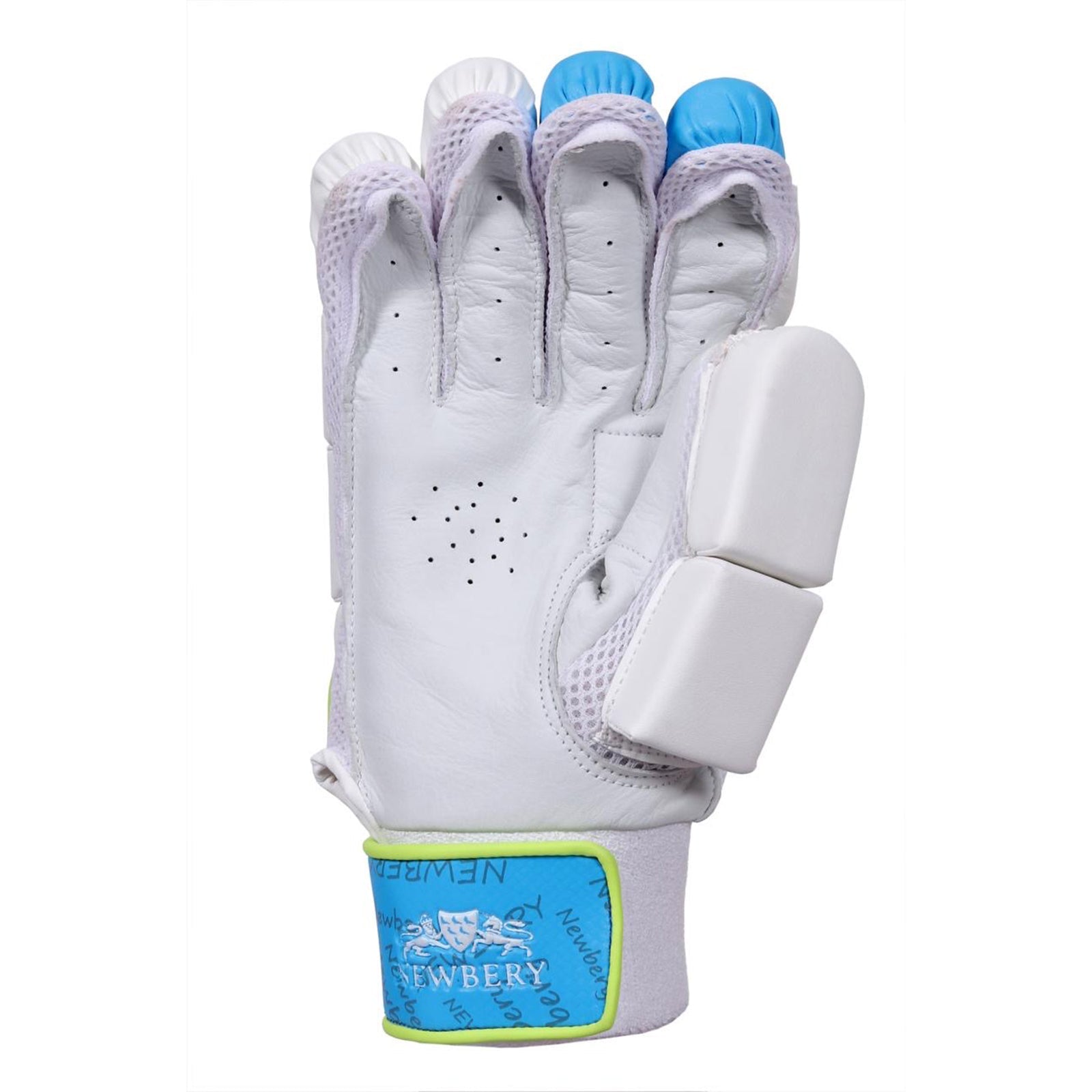 Pulse Cricket Gloves - Premium Batting Protection for Performance and Comfort - roesports