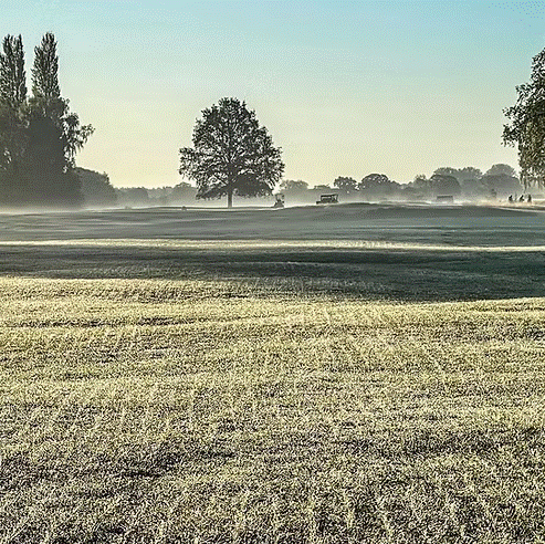 HF.2 Ryegrass Overseeder Mix - Premium Fairway Grass Seed Blend for Optimal Growth - roesports