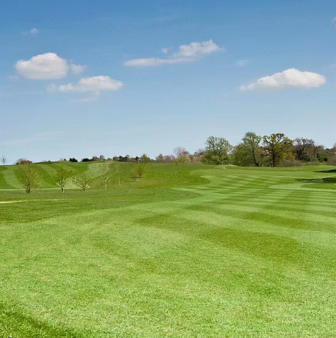 HF.3 Eco Fairway Overseeder Grass Seed Mix for Sustainable, Lush Lawns - roesports