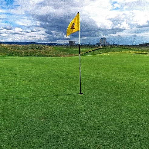 HG.3 Fescue Bent Grass Seed Mix for Lush Lawns and Vibrant Greens - roesports