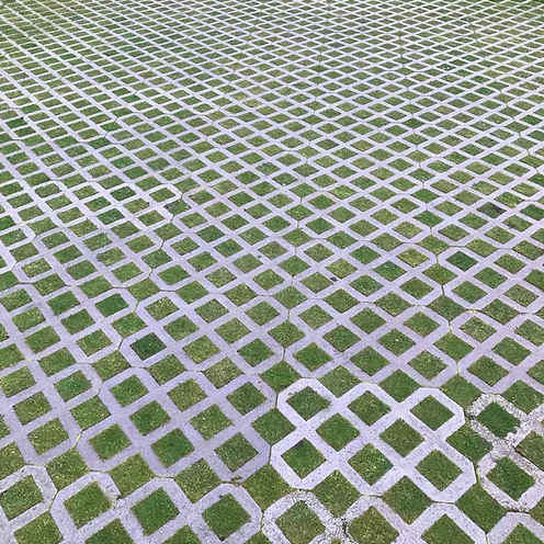 HL.9 Hexipath Grass Seed Mix for Lush, Resilient Lawns - roesports