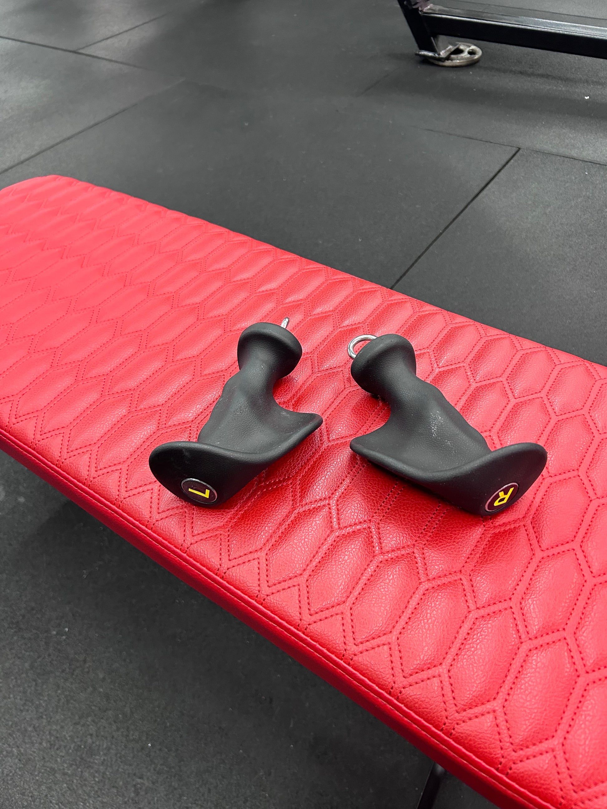 GymPin Ergo Handles (PAIR) roesports