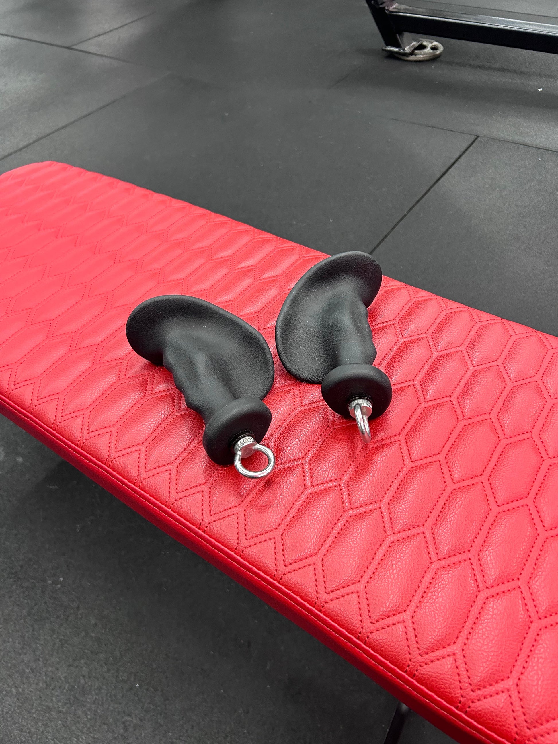GymPin Ergo Handles (PAIR) roesports