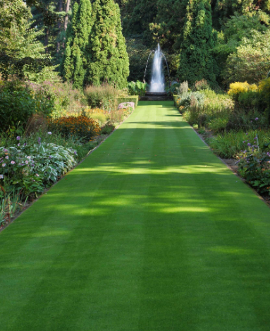 Lawn Shade Turf Premier Lawn Turf Bulk Buy - FREE Pallet Delivery (Select Pallet Amount) - roesports