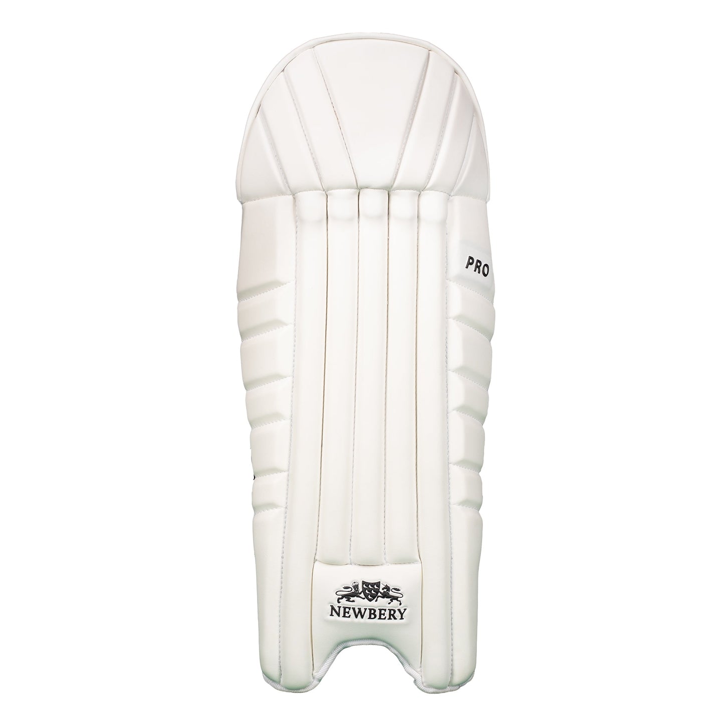 Pro Wicket-Keeping Pads for Enhanced Comfort and Performance - roesports