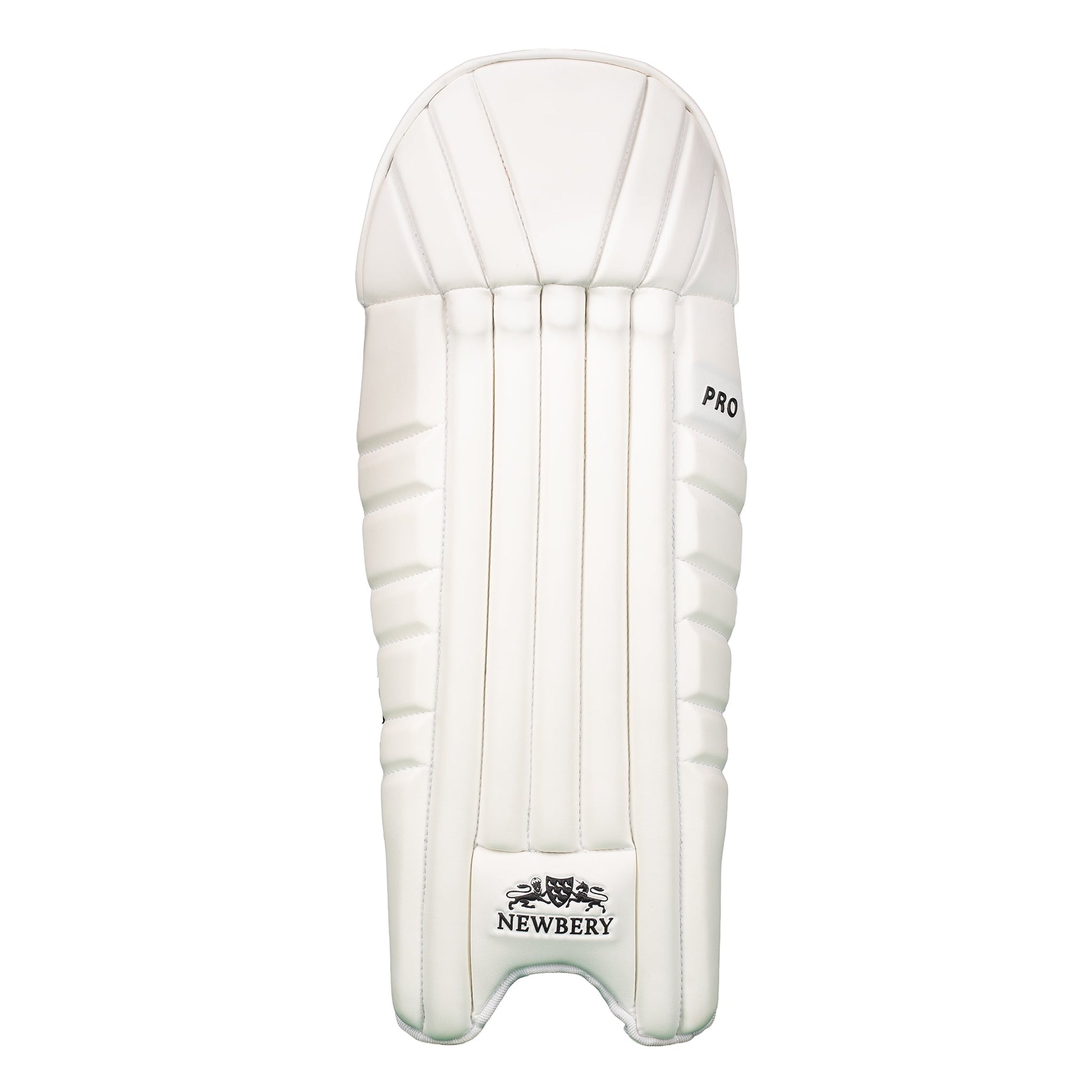 Pro Wicket-Keeping Pads for Enhanced Comfort and Performance - roesports