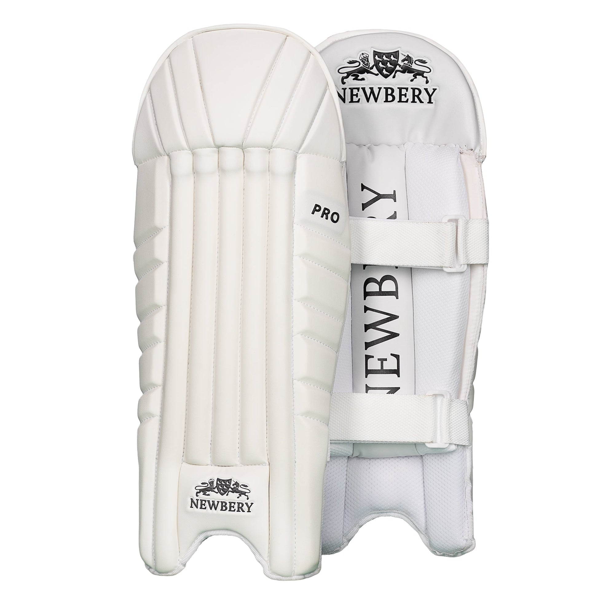 Pro Wicket-Keeping Pads for Enhanced Comfort and Performance - roesports