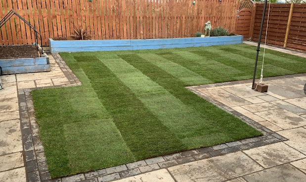 Premier Lawn Turf Bulk Buy Saver - Free Pallet Delivery Available - roesports