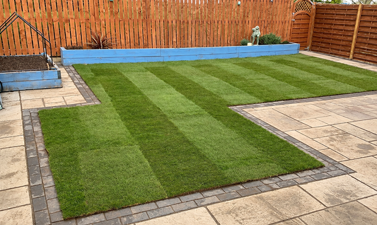 Premier Lawn Turf *Bulk Buy Saver* FREE Pallet Delivery (select pallet amount)