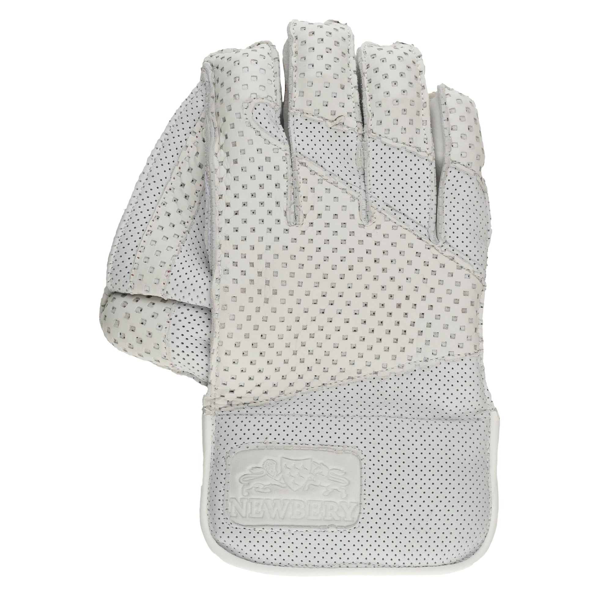 SPS Wicket Keeping Gloves for Ultimate Performance and Protection - roesports