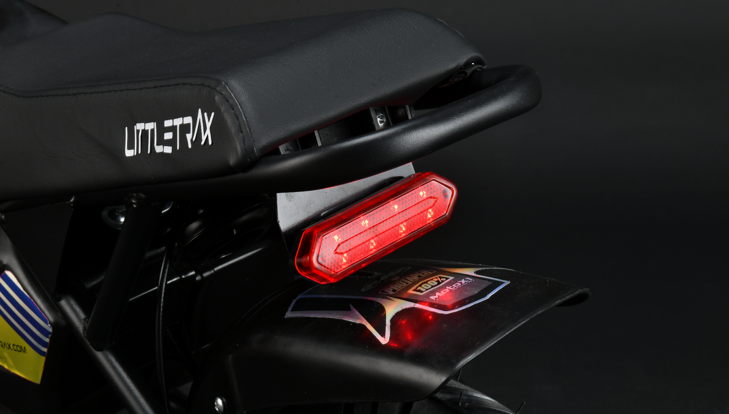 Award-Winning 350W 36V Kids Electric Bike for Ages 3 to 12 - Perfect Ride-On Dirt Bike - roesports