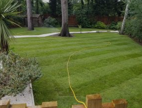 Premier Lawn Turf Bulk Buy Saver - Free Pallet Delivery Available - roesports