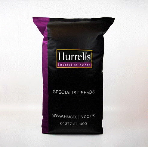 HL.9 Hexipath Grass Seed Mix for Lush, Resilient Lawns - roesports