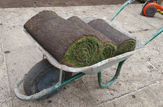 Premier Lawn Turf Bulk Buy Saver - Free Pallet Delivery Available - roesports