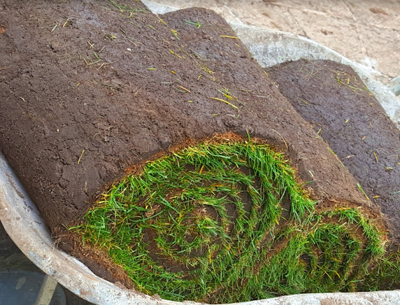 Lawn Shade Turf Premier Lawn Turf Bulk Buy - FREE Pallet Delivery (Select Pallet Amount) - roesports