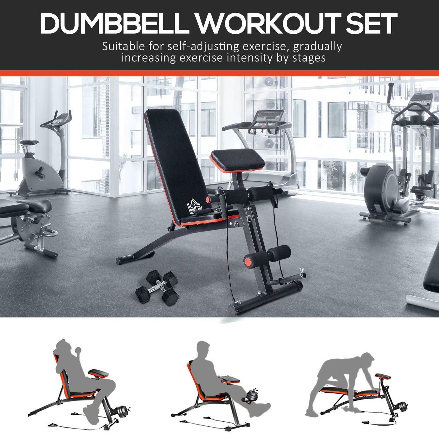 HOMCOM Adjustable Reclined Dumbbell Bench Weight Lifting Set Folding Sit Up Ab Bench Home Training Gym Multiuse Workout Exercise Fitness with 2 x 4kg Dumbbells -