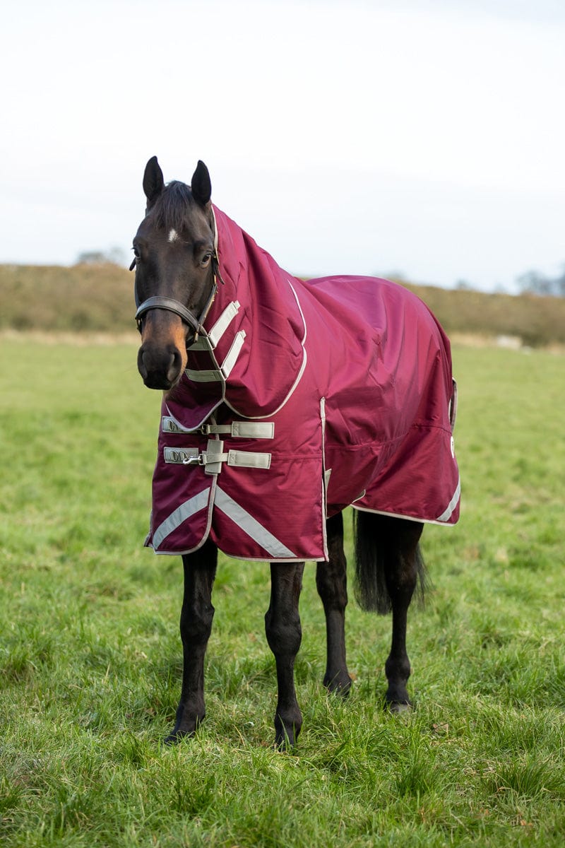 100g Detachable Neck Turnout Rug in Burgundy - Perfect for Cold Weather Protection - roesports