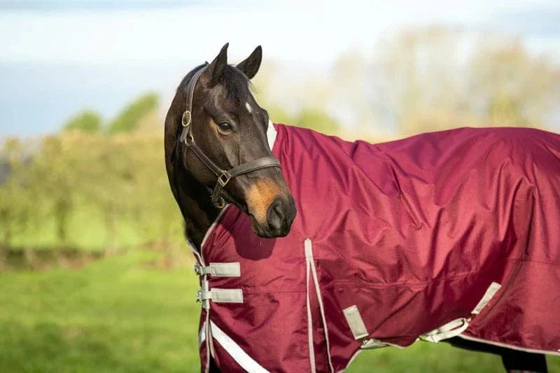 0g Detachable Neck Turnout Rug in Burgundy for Ultimate Comfort - roesports