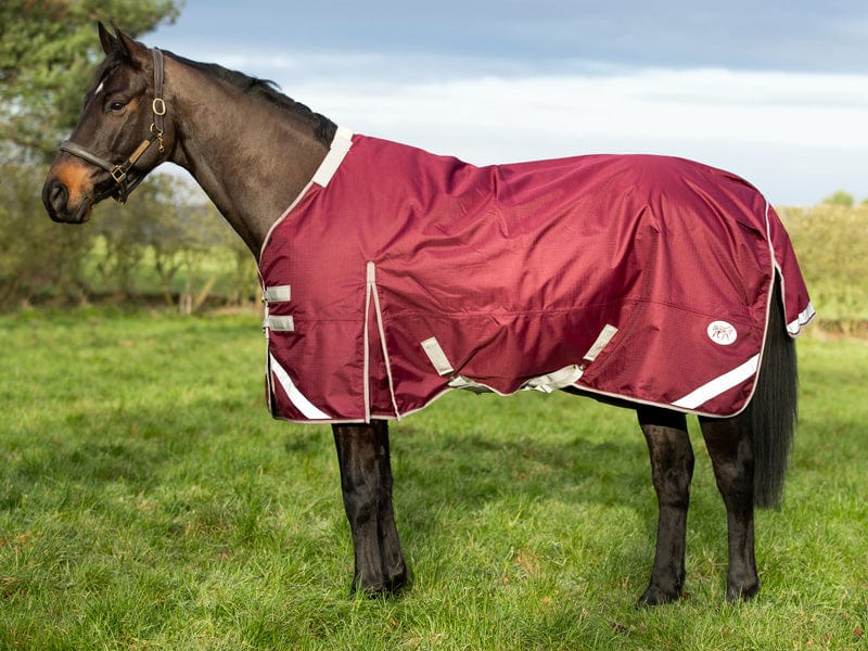 50g Burgundy Detachable Neck Turnout Rug for Optimal Horse Comfort - roesports