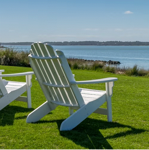 HL.7 Coastal Grass Seed Mix for Vibrant Coastal Lawns - roesports
