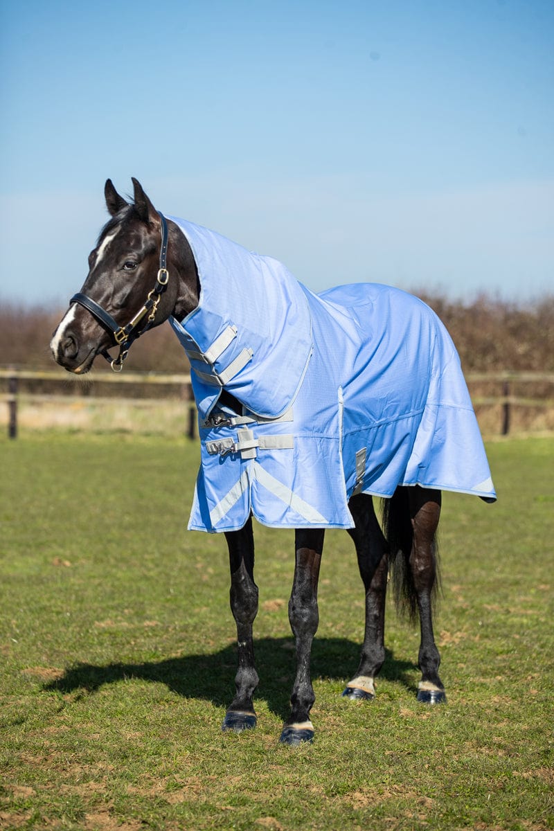 100g Detachable Neck Turnout Rug in Cornflower Blue for Ultimate Horse Comfort - roesports
