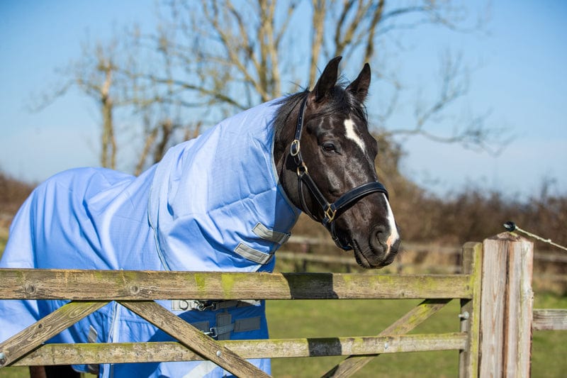 100g Detachable Neck Turnout Rug in Cornflower Blue for Ultimate Horse Comfort - roesports