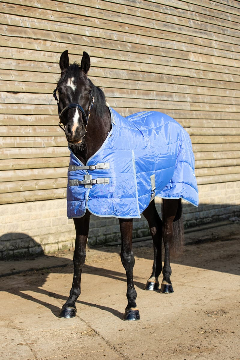 100g Detachable Neck Turnout Rug - Cornflower - roesports