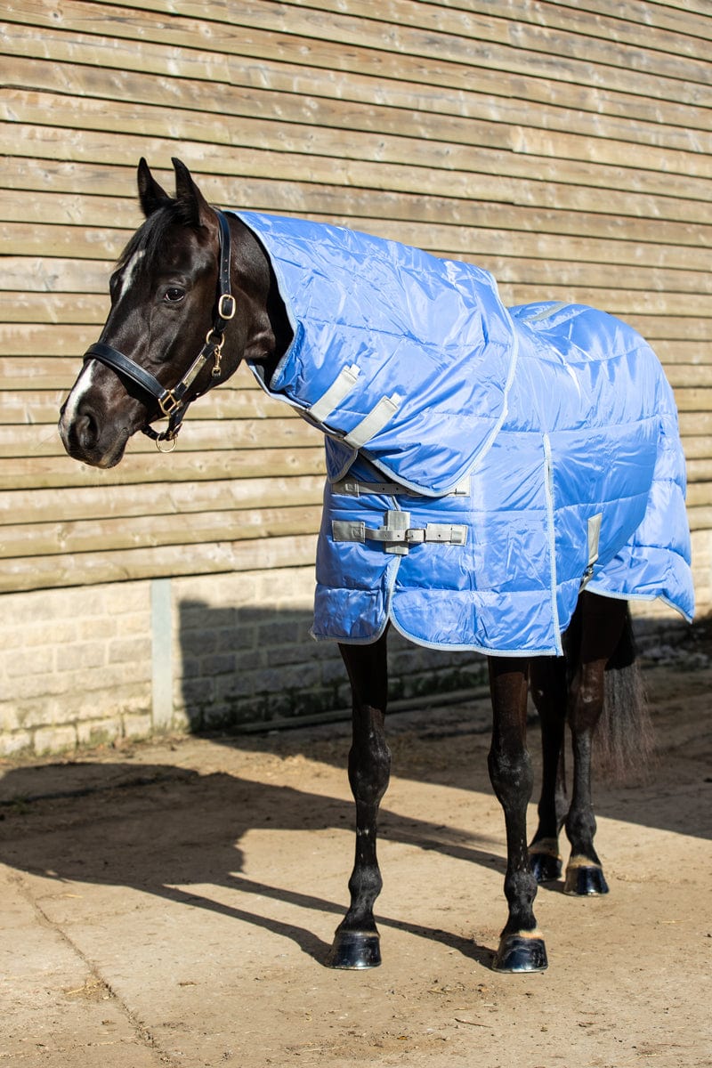 100g Detachable Neck Turnout Rug - Cornflower - roesports