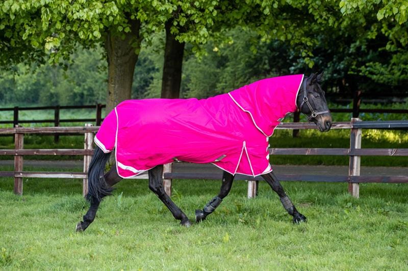 100g Detachable Neck Turnout Rug - Pink - roesports
