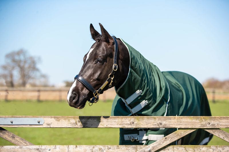 0g Detachable Neck Turnout Rug - Hunter Green - roesports