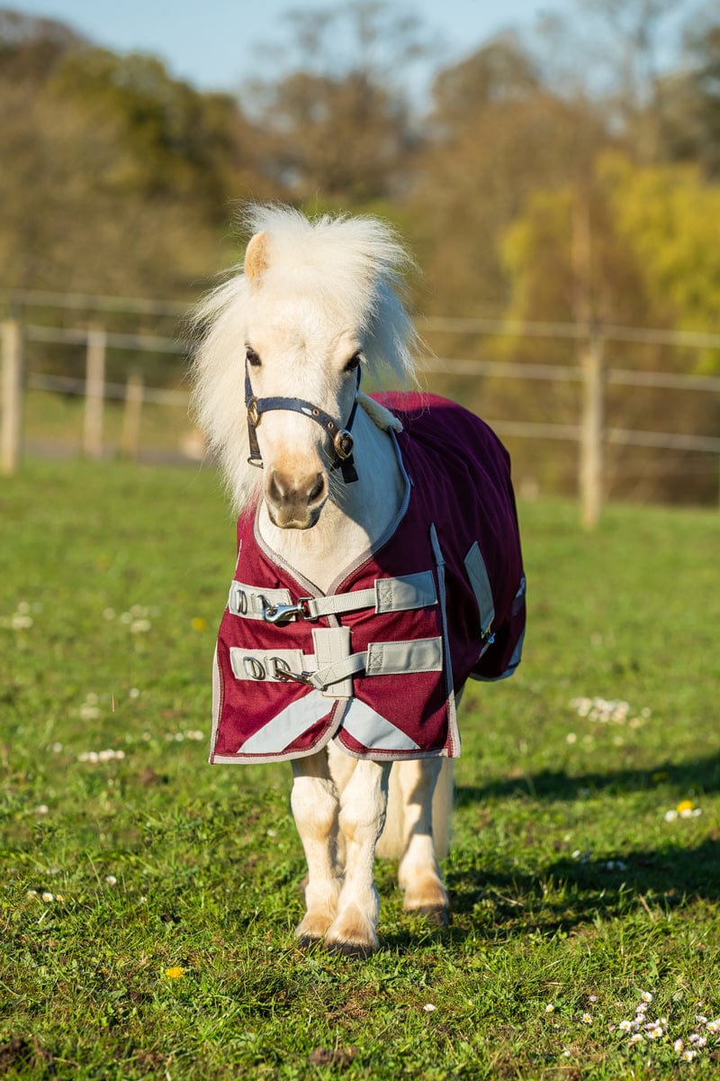 MINI Turnout Rug Burgundy - Cozy Protection for Your Horse - roesports