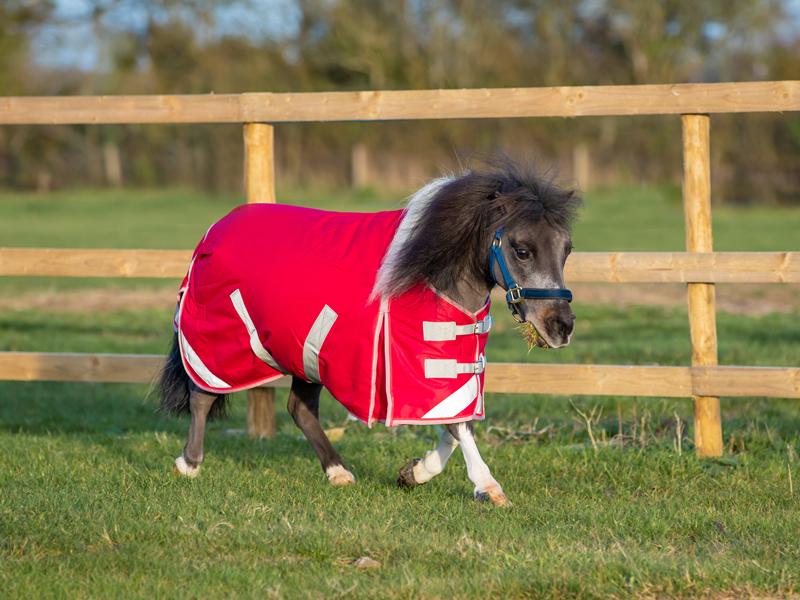 Mini Turnout Rug Red 200g for Ultimate Horse Protection and Comfort - roesports
