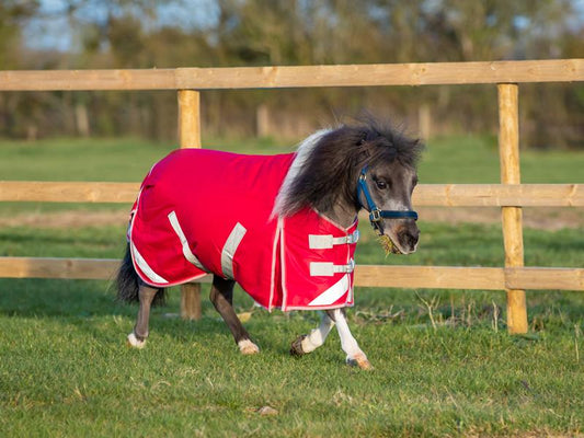 Mini Turnout Rug Red 200g for Ultimate Horse Protection and Comfort - roesports