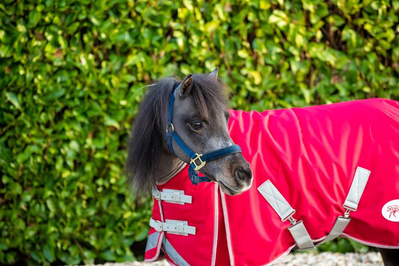 Mini Turnout Rug Red 200g for Ultimate Horse Protection and Comfort - roesports