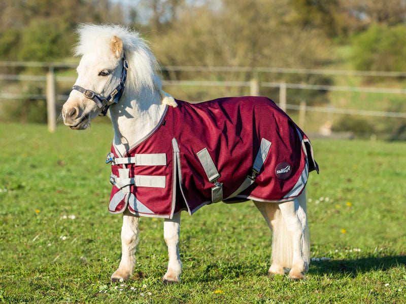MINI Turnout Rug Burgundy - Cozy Protection for Your Horse - roesports