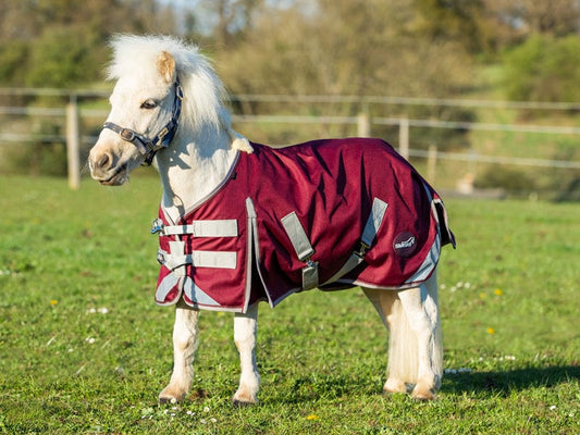 MINI Turnout Rug Burgundy - Cozy Protection for Your Horse - roesports