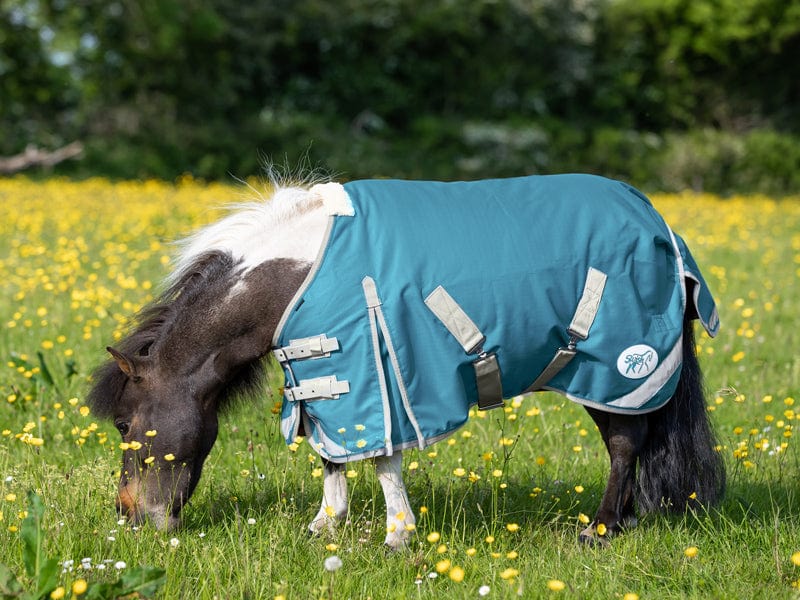 Mini Turnout Rug Turquoise 100g for Ultimate Comfort - roesports